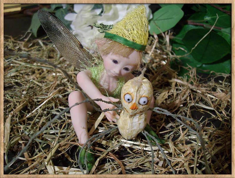 Baby Fairie Peo & Nut